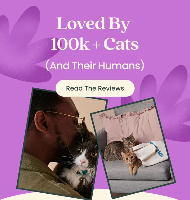 Read The Reviews