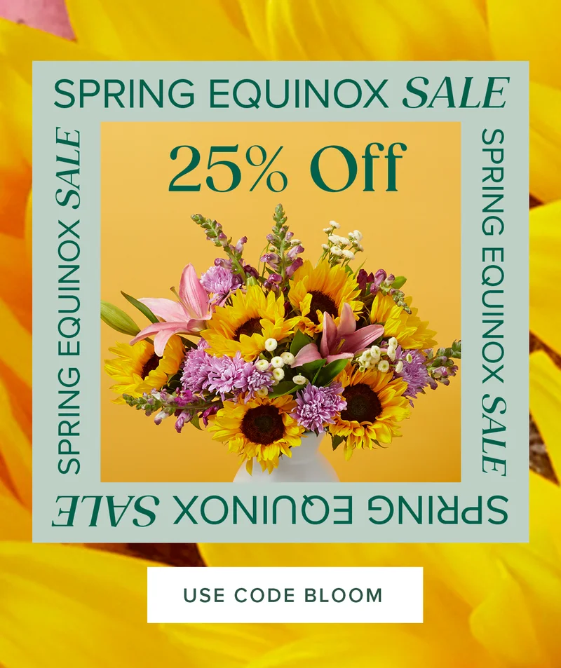 Spring Equinox Sale: 25% OFF Sitewide. Use code BLOOM