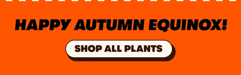HAPPY AUTUMN EQUINOX! [SHOP ALL PLANTS]