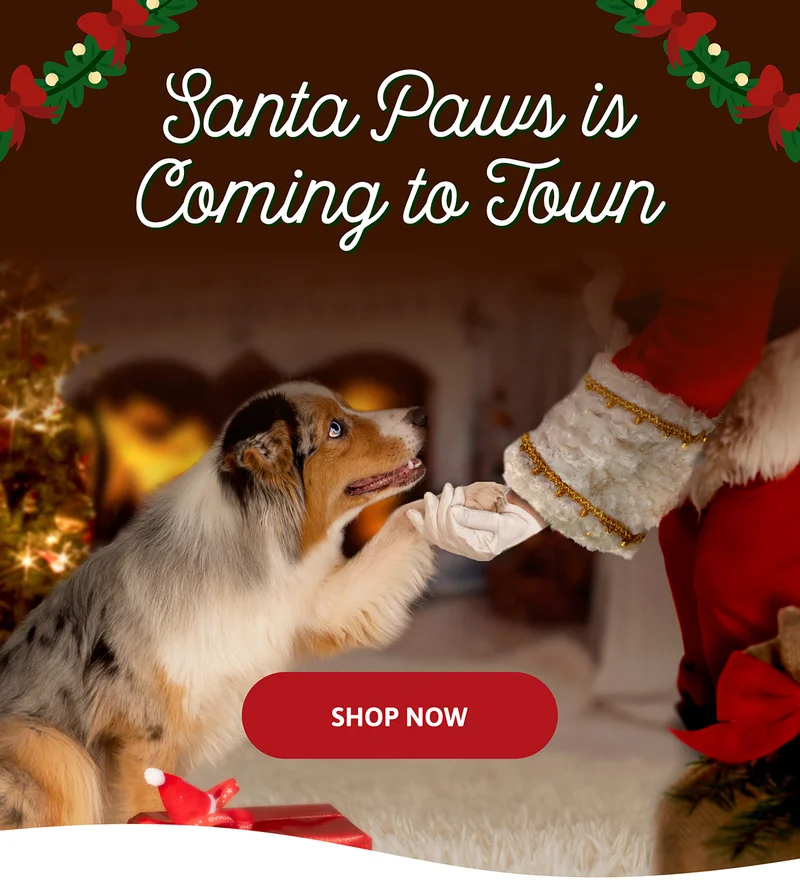 Santa Paws is coming to town