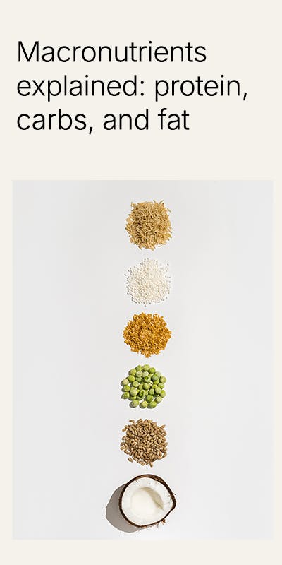 Macronutrients explained
