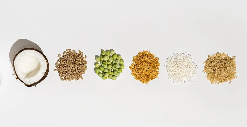 Macronutrients explained