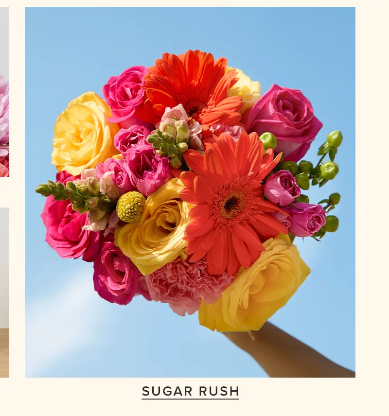 Featured Bouq: Sugar Rush Featured Bouq: Sugar Rush