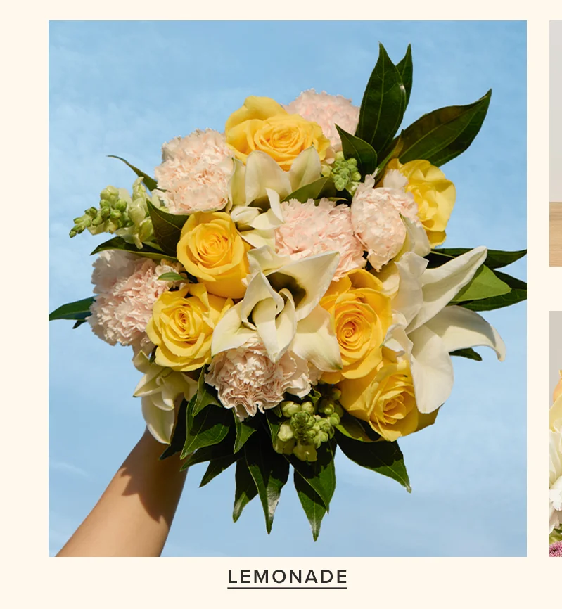 Featured Bouq: Lemonade Featured Bouq: Lemonade