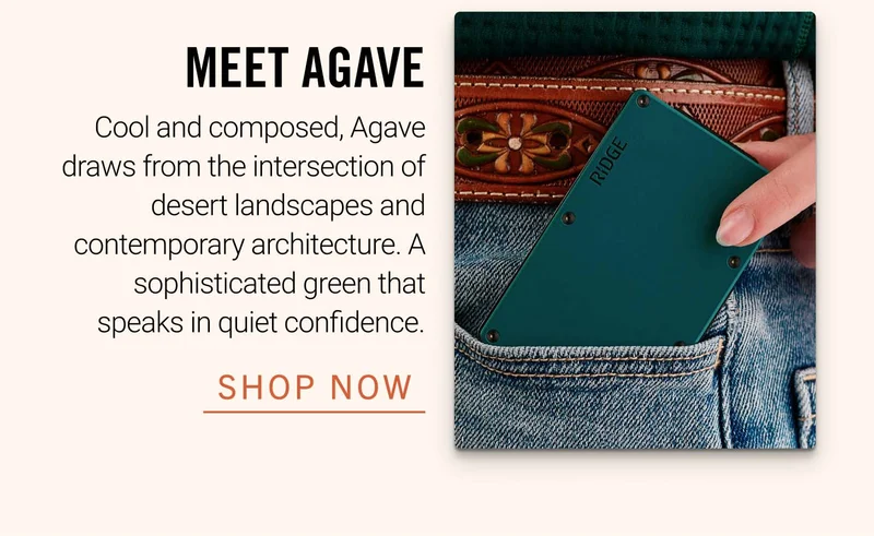 Meet Agave | Shop Now
