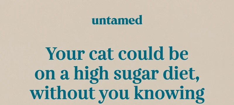 Your cat could be on a high sugar diet, without you knowing. Unlike humans, cats don’t naturally have a sweet tooth. Yet, conventional cat food often contains a lot more sugar than you’d expect.