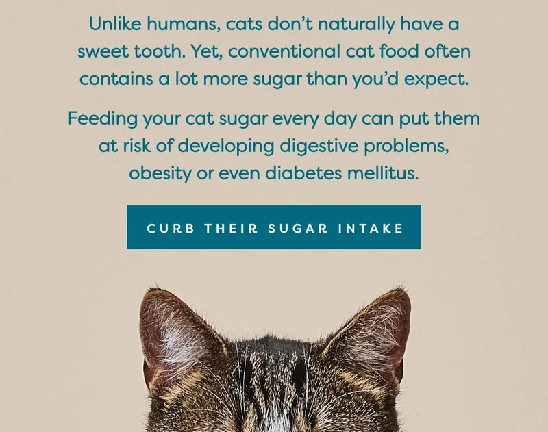 Curb their sugar intake