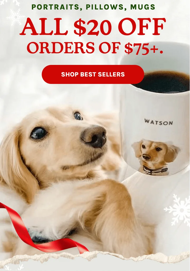 Shop Best Sellers