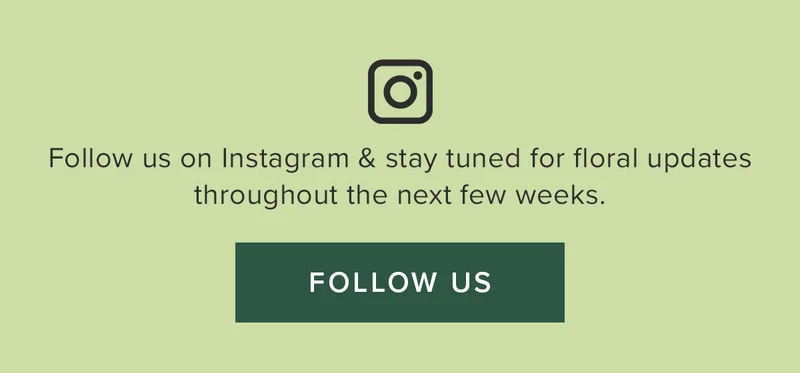 Follow us on Instagram & stay tuned for floral updates throughout the next few weeks. FOLLOW US