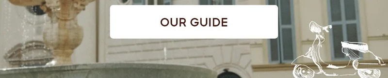 OUR GUIDE