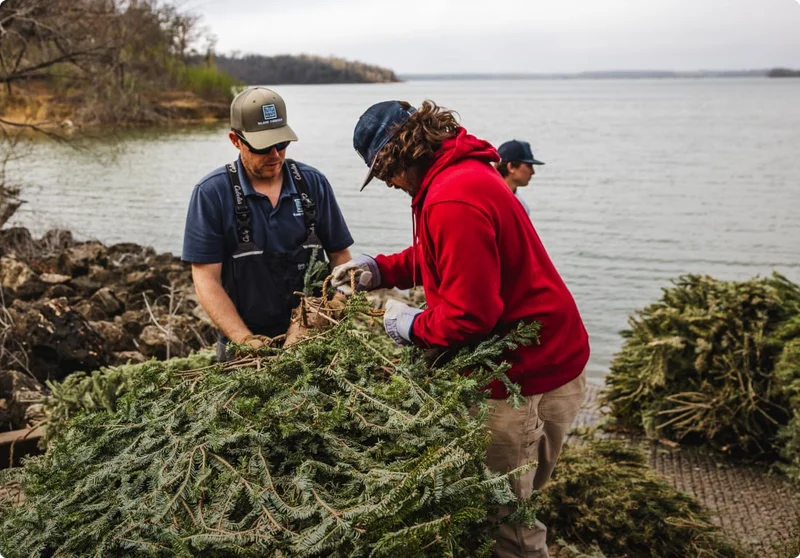Give Your Holiday Tree A Second Life