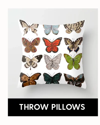 Shop Throw Pillows