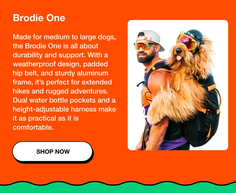 Brodie One Made for medium to large dogs, the Brodie One is all about durability and support.