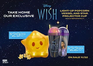 WISH CCV