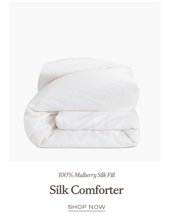 Silk Comforter - Shop Now Silk Comforter - Shop Now