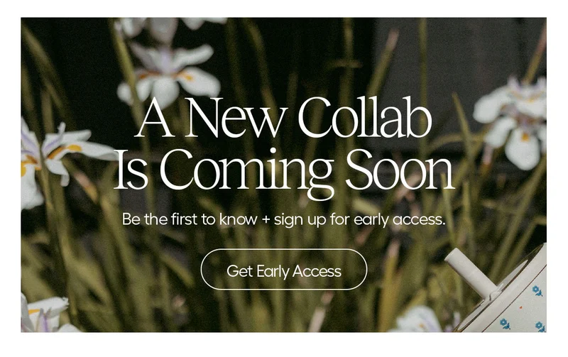 A New Collab Is Coming Soon. Be the first to know + sign up for early access. Get Early Access