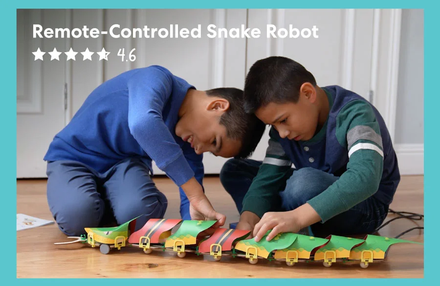 Remote-Controlled Snake Robot