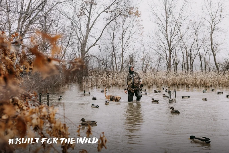 Built For The Wild
