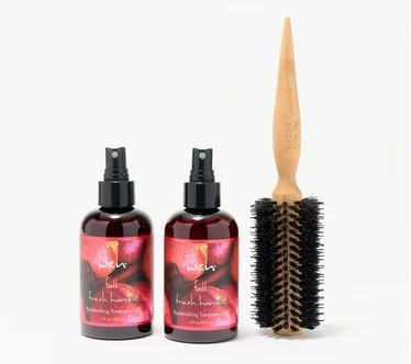 WEN by Chaz Dean Seasonal Replenishing Mist Duo wBrush