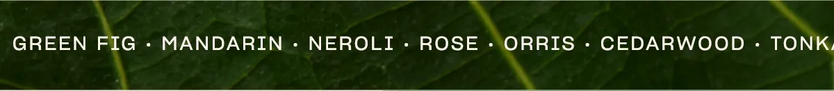 Rose · Orris · Cedarwood · Tonka Bean · Ambrette Seeds · Green Fig · Mandarin · Neroli