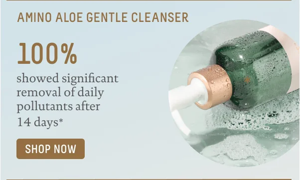 Amino Aloe Gentle Cleanser