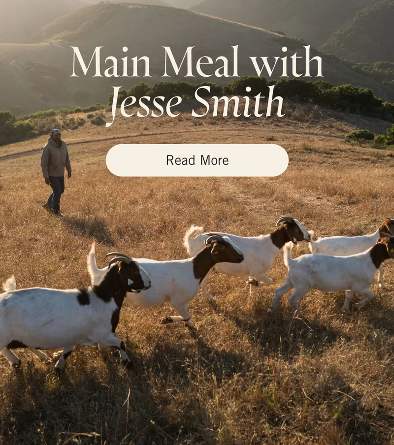 Main Meal: Jesse Smith. READ MORE.