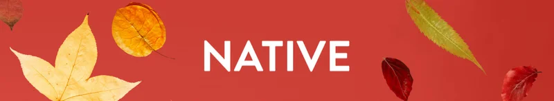 NATIVE