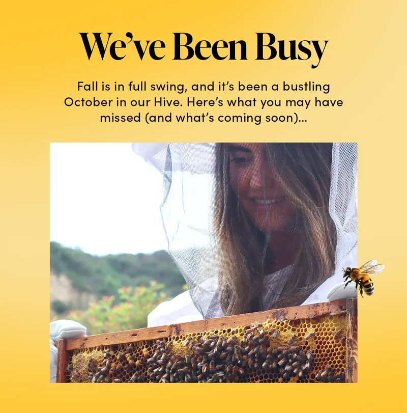We’ve Been Busy          Fall is in full swing, and it’s been a bustling October in our Hive. Here’s what you may have missed (and what’s coming soon)…
