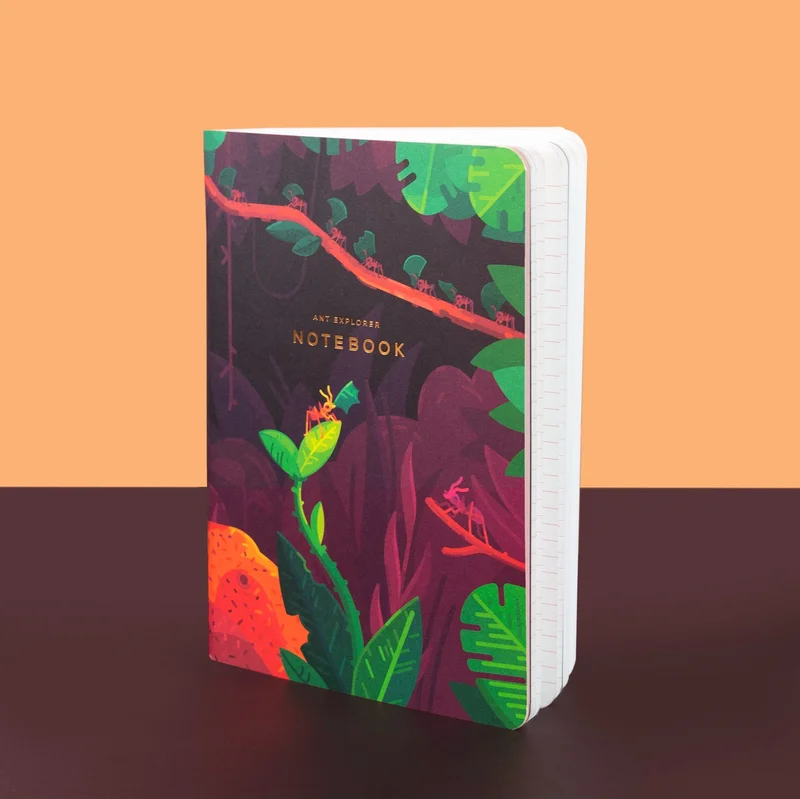 Image of Ant Explorer Notebook