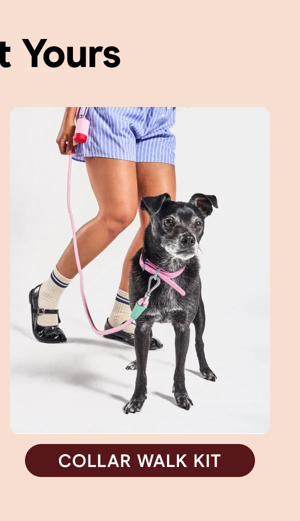 collar walk kit