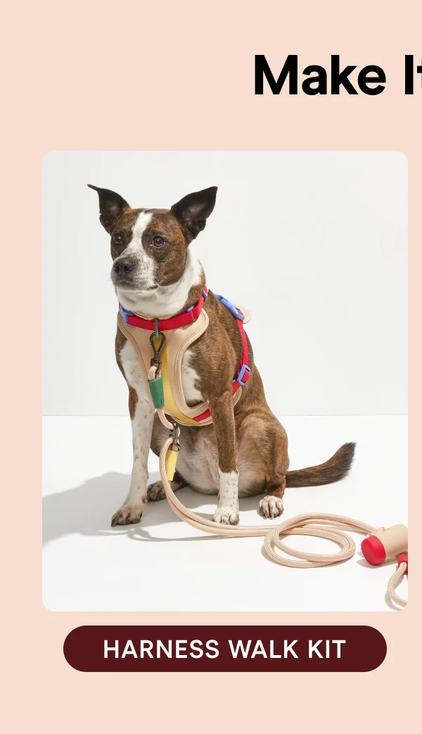 Harness Walk Kit