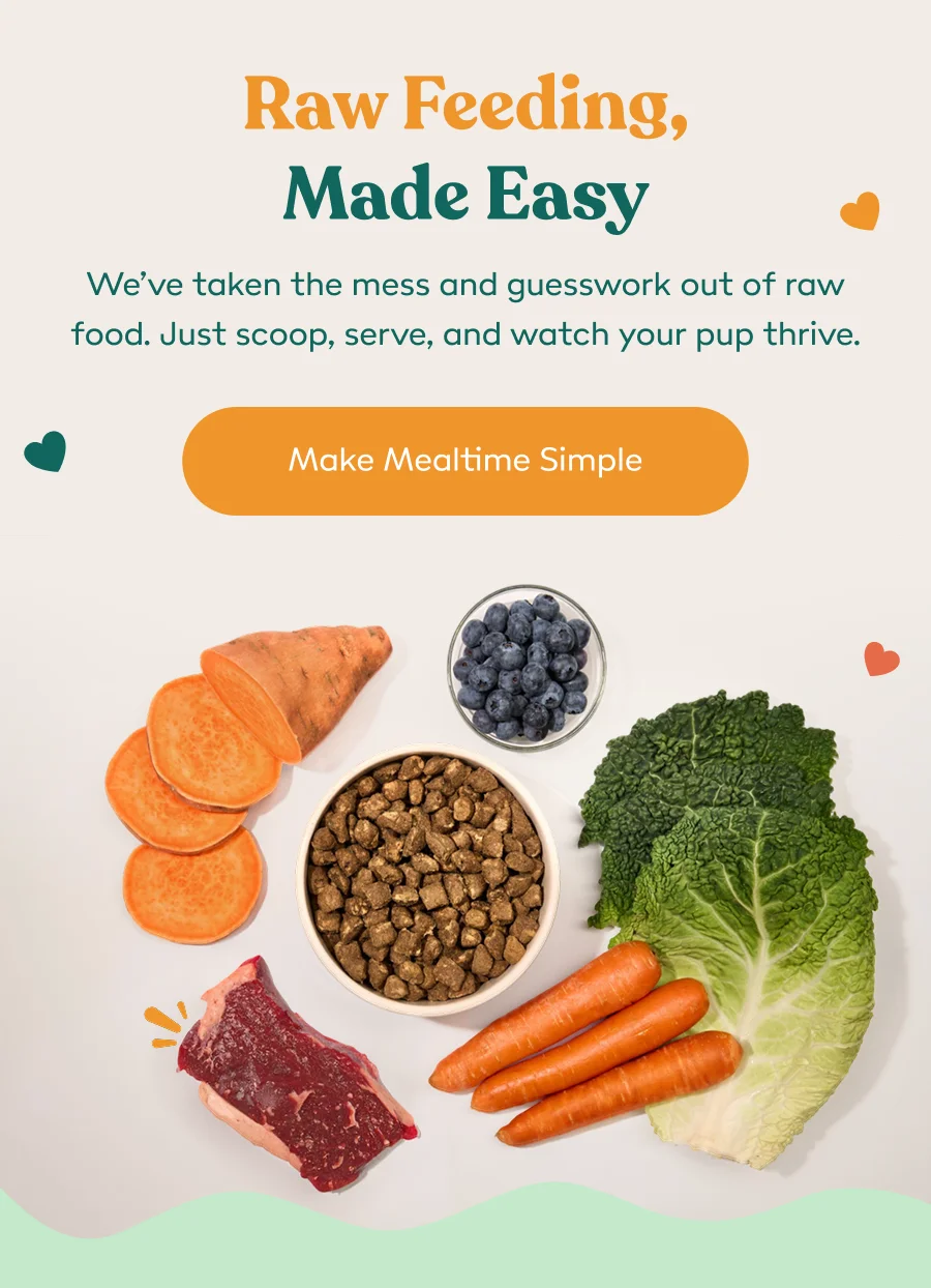 Raw Feeding Made Easy