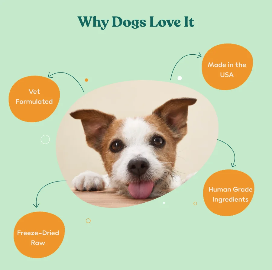 Why dogs love it