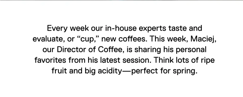 Every week our in-house experts taste and evaluate, or “cup,” new coffees. This week, Maciej, our Director of Coffee, is sharing his personal favorites from his latest session. Think lots of ripe fruit and big acidity—perfect for spring.