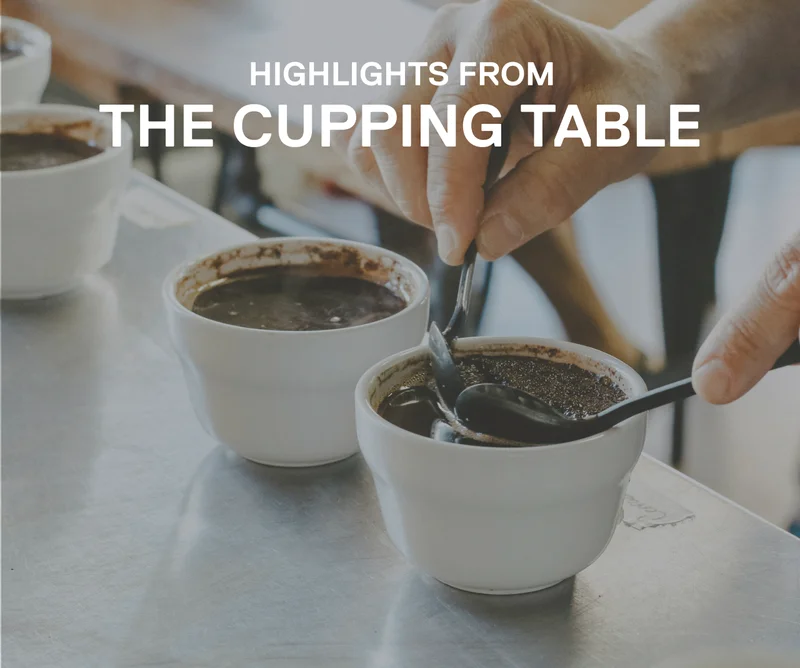 Highlights from The Cupping Table