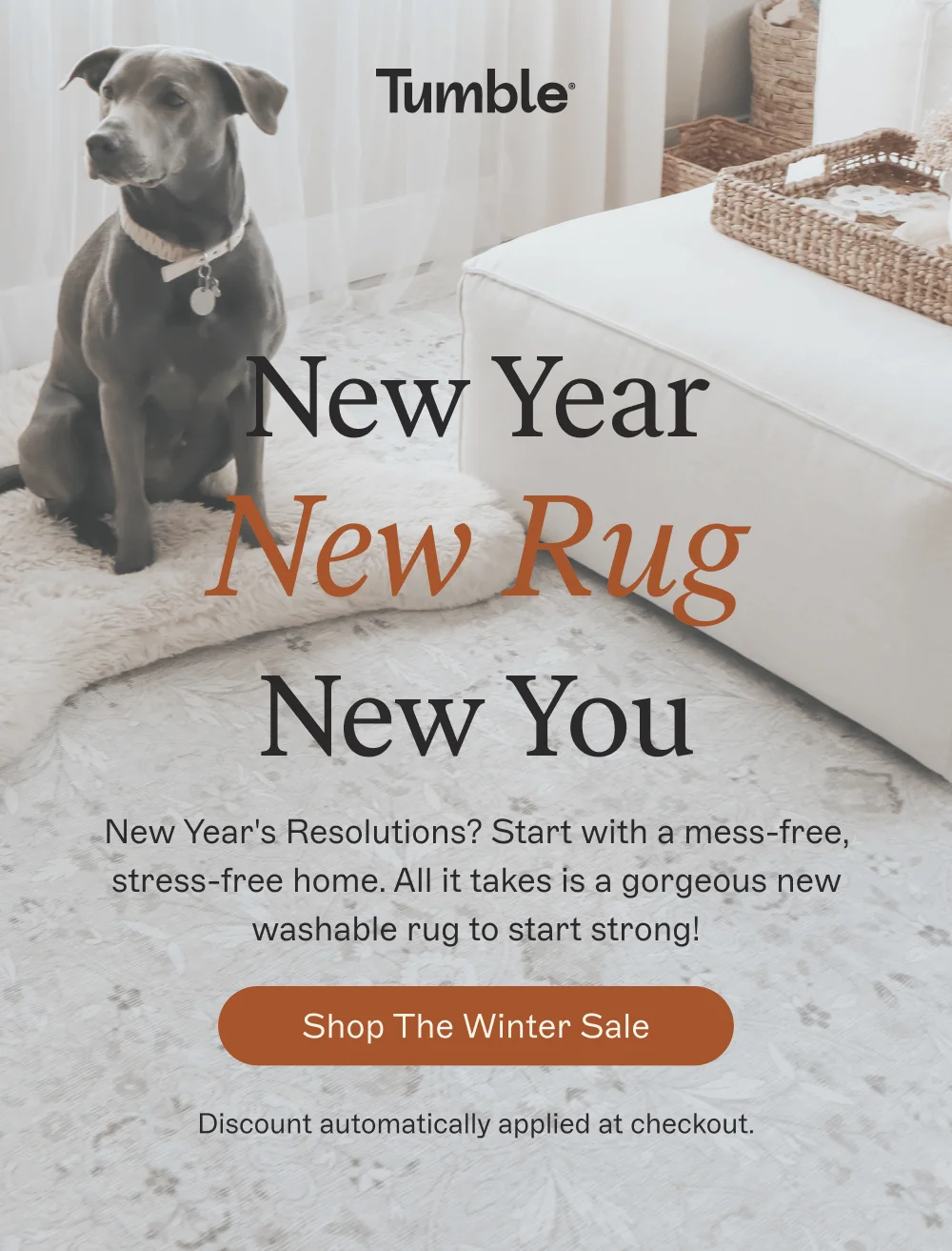 [ Shop The Winter Sale ]