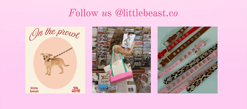 Follow us on Instagram