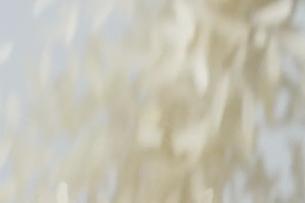 New formulation launching tomorrow.