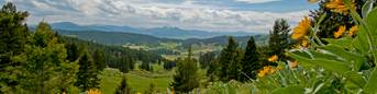 Bozeman