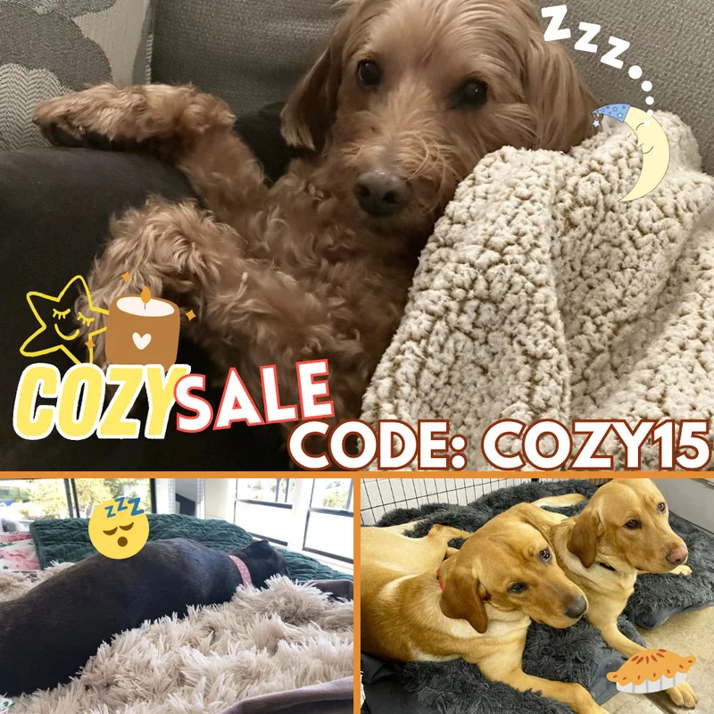 Cozy Fall Sale