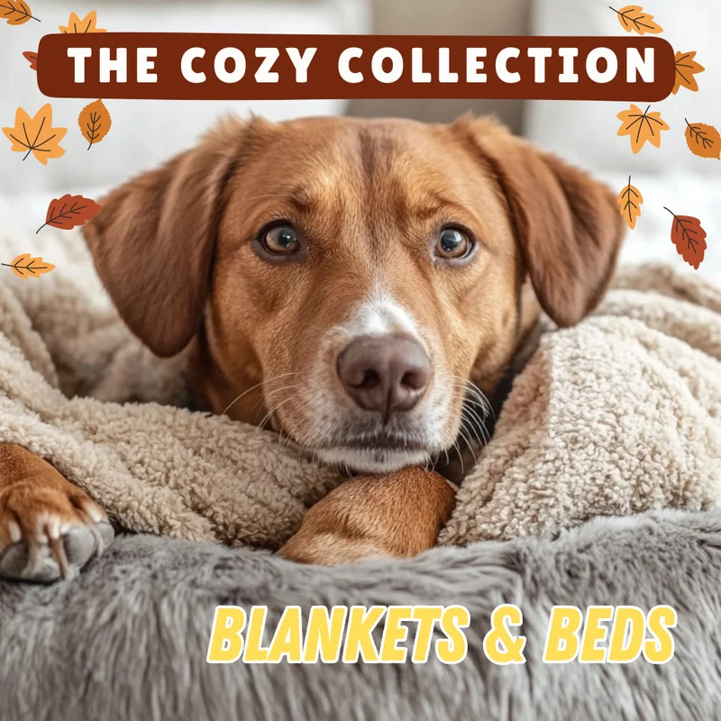 Cozy Collection Blankets