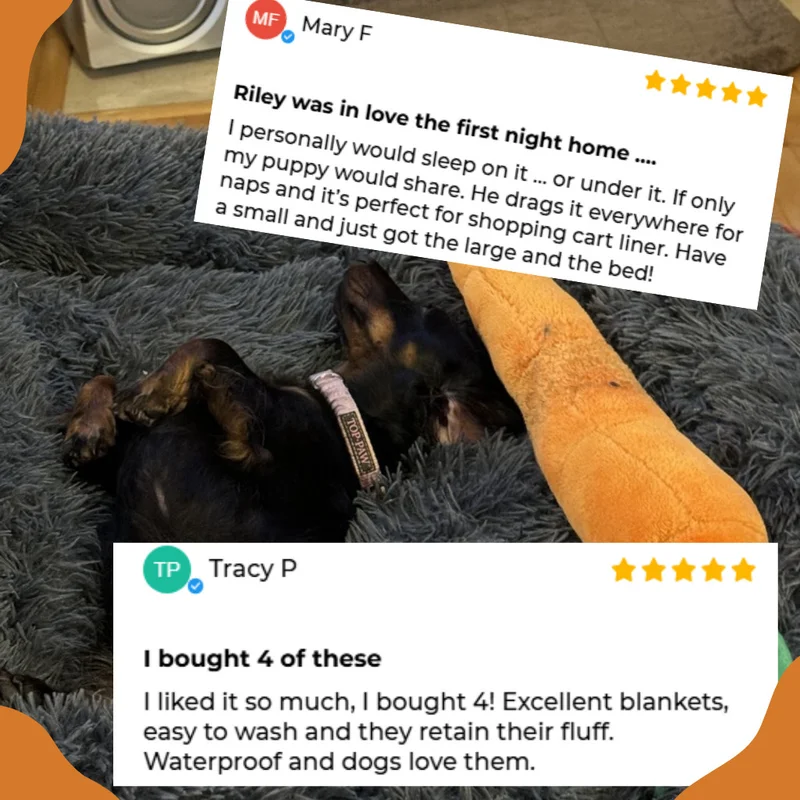 Cozy Fall Sale User Stories