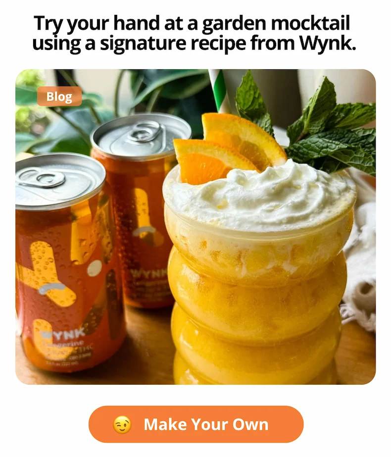 Check our mocktail recipes