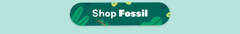 Shop Fossil