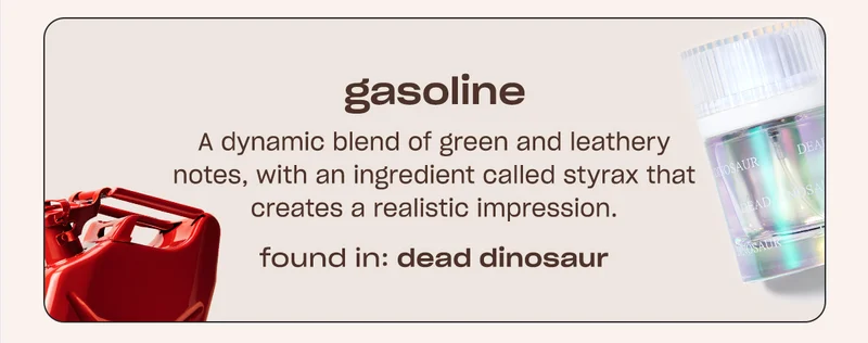 gasoline A dynamic blend of green and leathery notes, with an ingredient called styrax that creates a realistic impression. FOUND IN: DEAD DINOSAUR