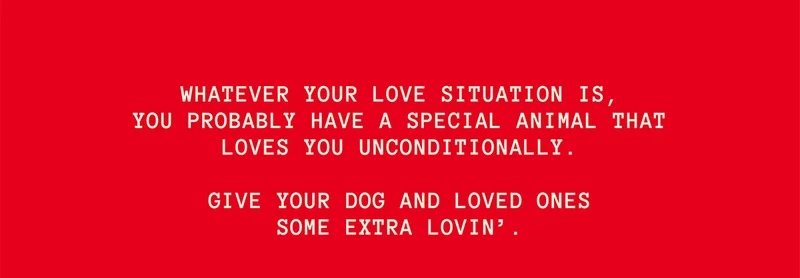 Give your dog and loved ones some extra lovin.