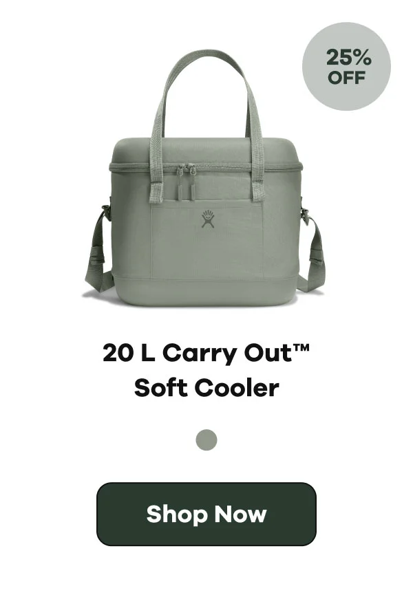 20 L Carry Out™ Soft Cooler | Shop Now