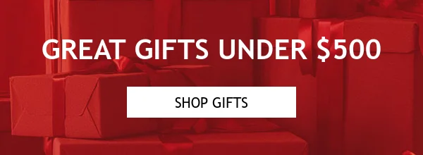 Gifts Under Gift Guide