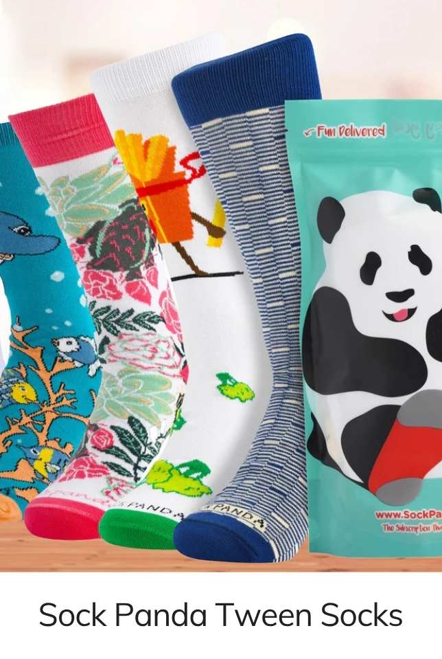 Sock Panda Tween Sock Box(Ages 8-11)