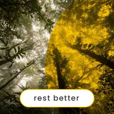 SOUNDS FOR SLEEP SOUNDS FOR SLEEP